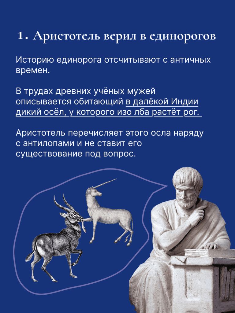 Единорог для блога - слайд 1