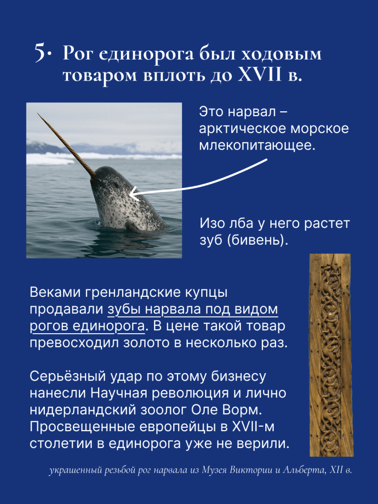 Единорог для блога - слайд 6